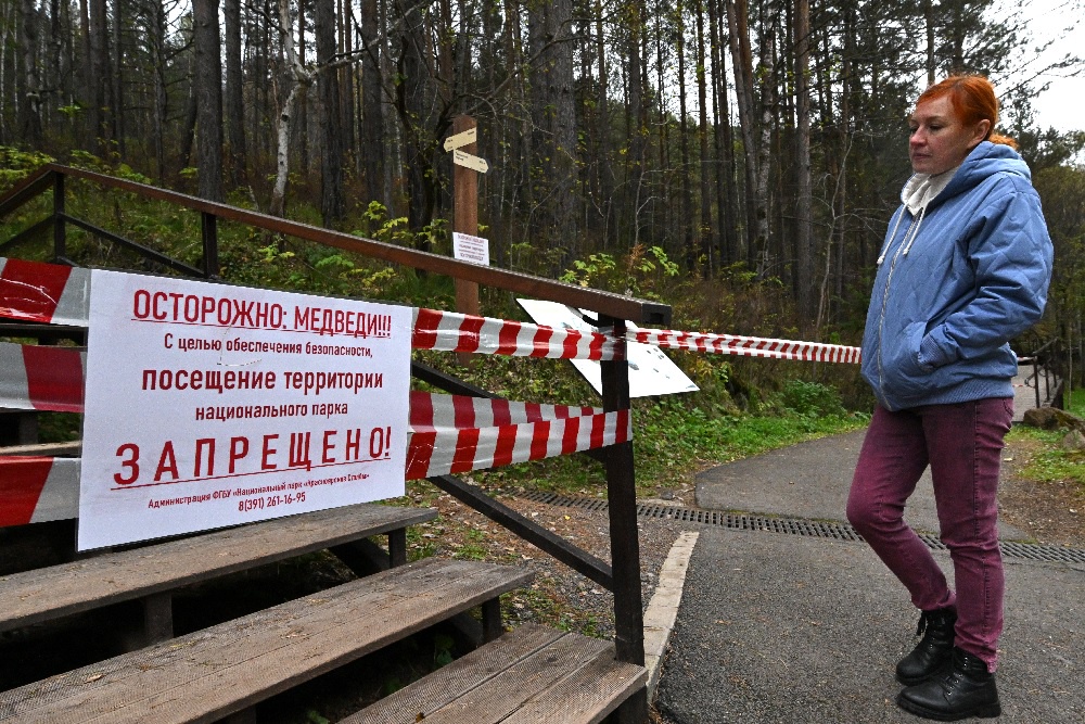 Медведи в этом сезоне стали активными почти во всех регионах страны.