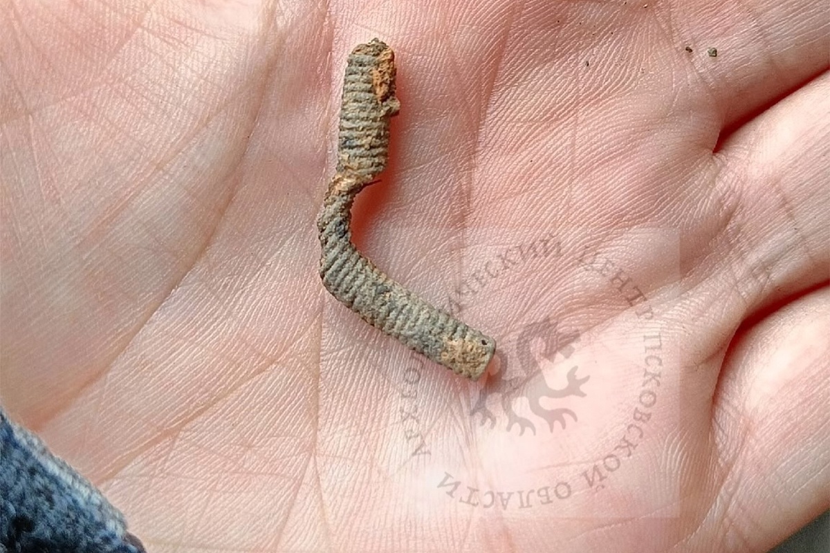 "Пружинка" из Ольгинского-10 раскопа. "Пружинка" из Ольгинского-10 раскопа.