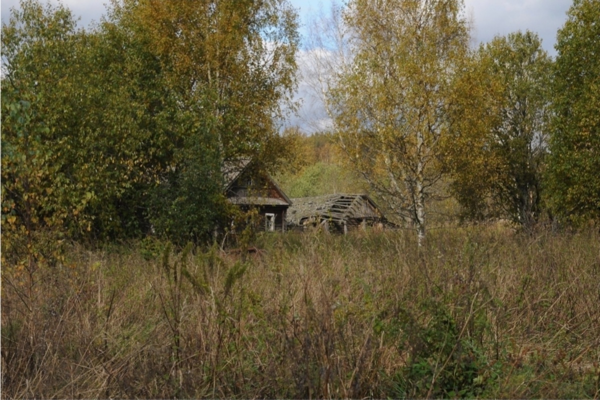Родной деревни Андрея Быстрова - Ручьевой - больше нет. В соседней Сосновке остался один жилой дом.