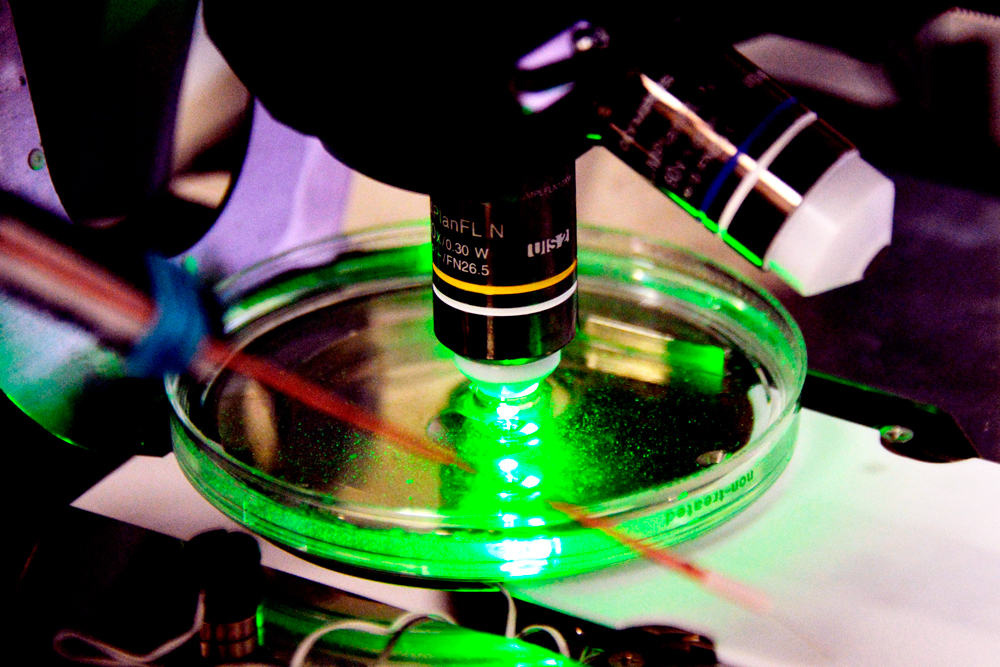 13-я Зарплата В 2023 Году: Кому Положена, Когда И Как Начисляется