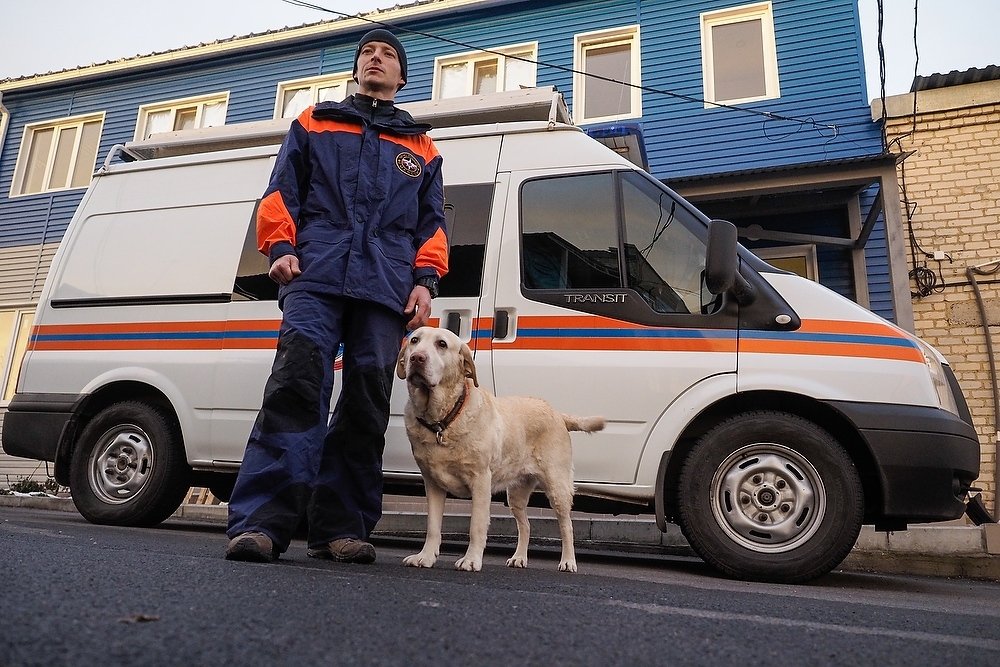 собаки мчс россии. собаки спасатели мчс. центр лидер мчс россии кинологи. минно розыскная собака мчс. служба мчс россии (поисково – спасательная служба).