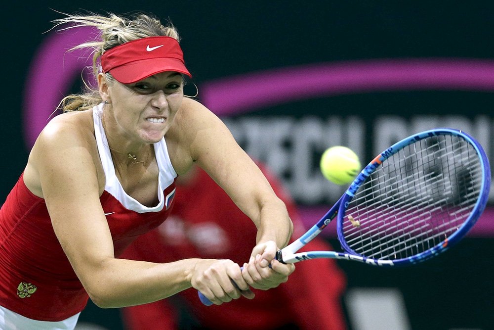 Спорт кубок федерации