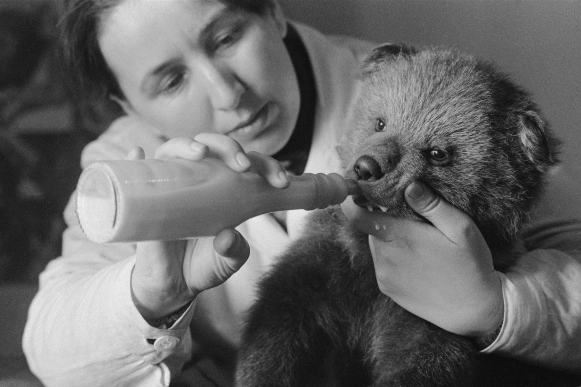 портер советского человека 1964-1980. львівське пиво. углов фёдор григорьевич (1904-2008).