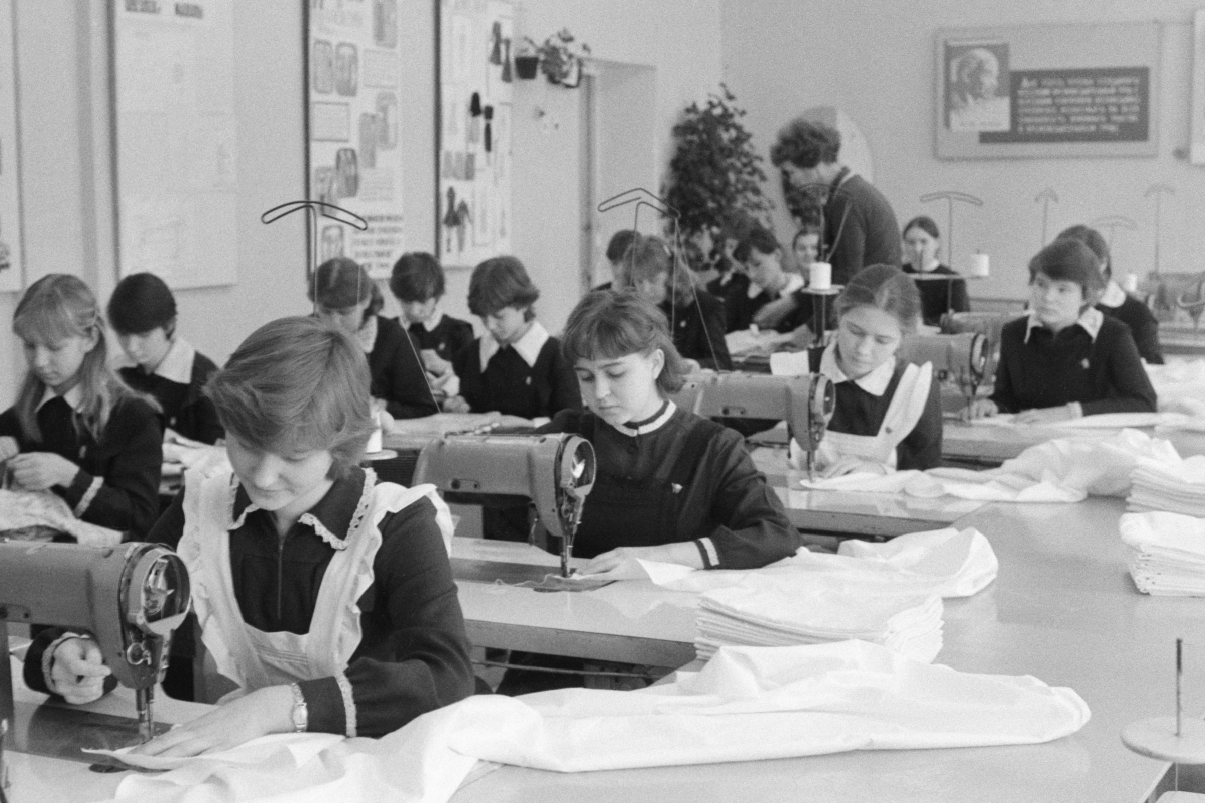 Қыздың мысығын қалай дұрыс жалау керек