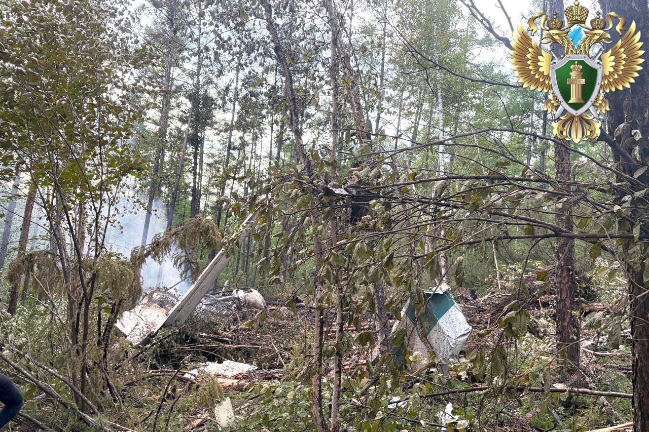Авиакатастрофы, природные катаклизмы и коррупционные скандалы: вспоминаем, что происходило в России за год - Редакция собрала краткий обзор значимых событий, которые потрясли нашу страну за год.