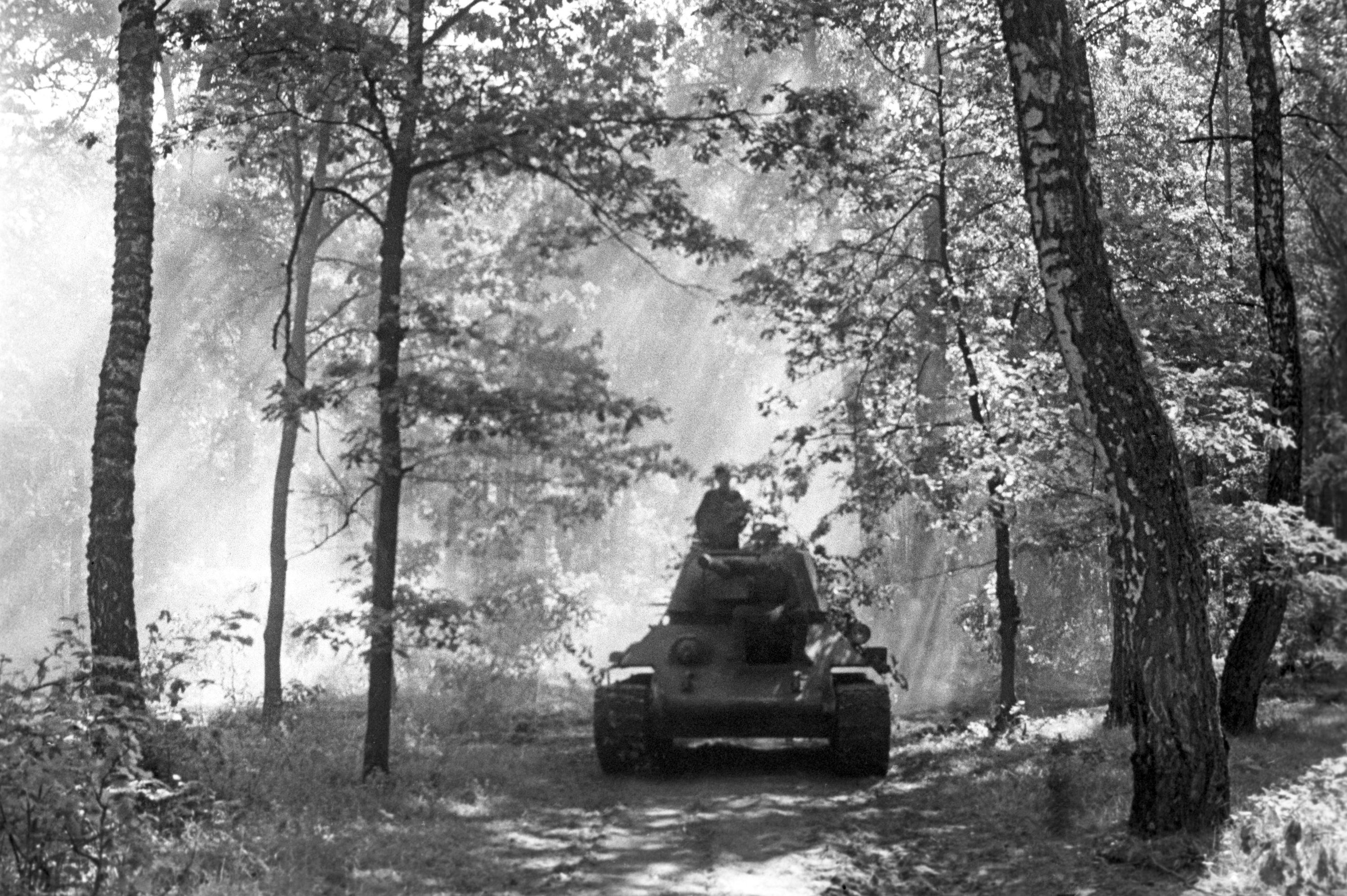 Советские танки в Венском лесу. 2-ой Украинский фронт. Апрель 1945 года
