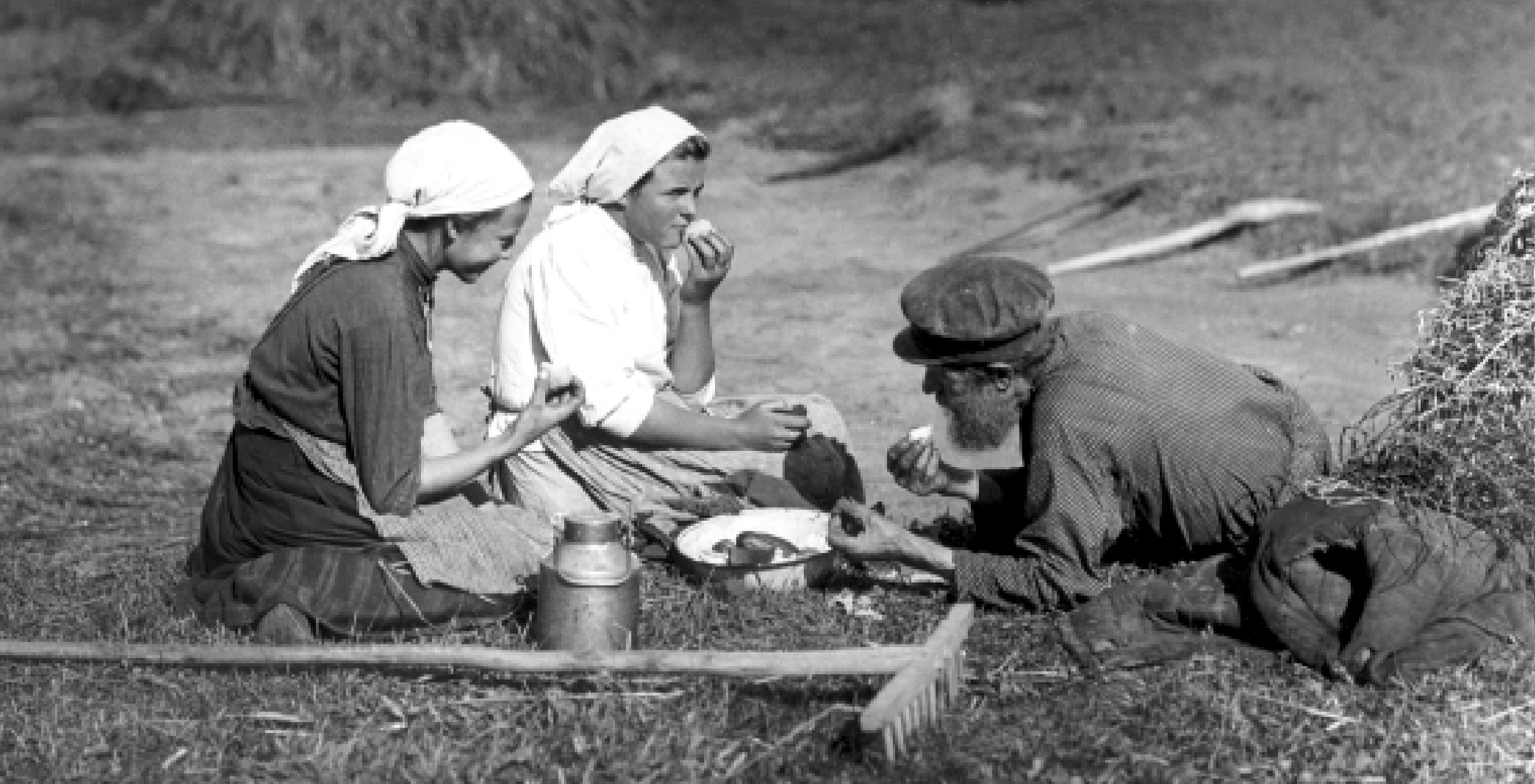 Крестьяне на отдыхе в поле. 1900-е гг.
