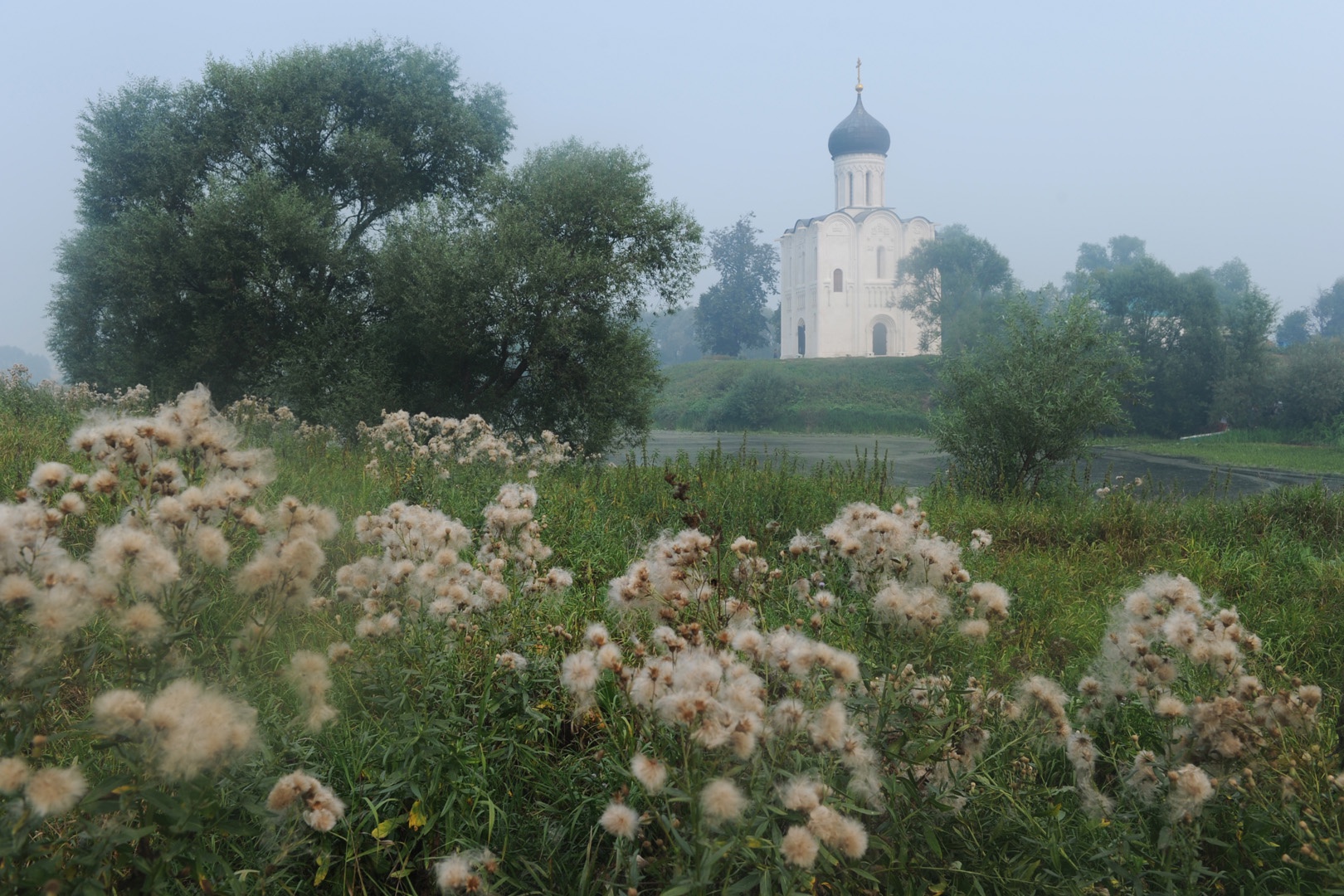 Вид на церковь Покрова на Нерли. 2010 год. 