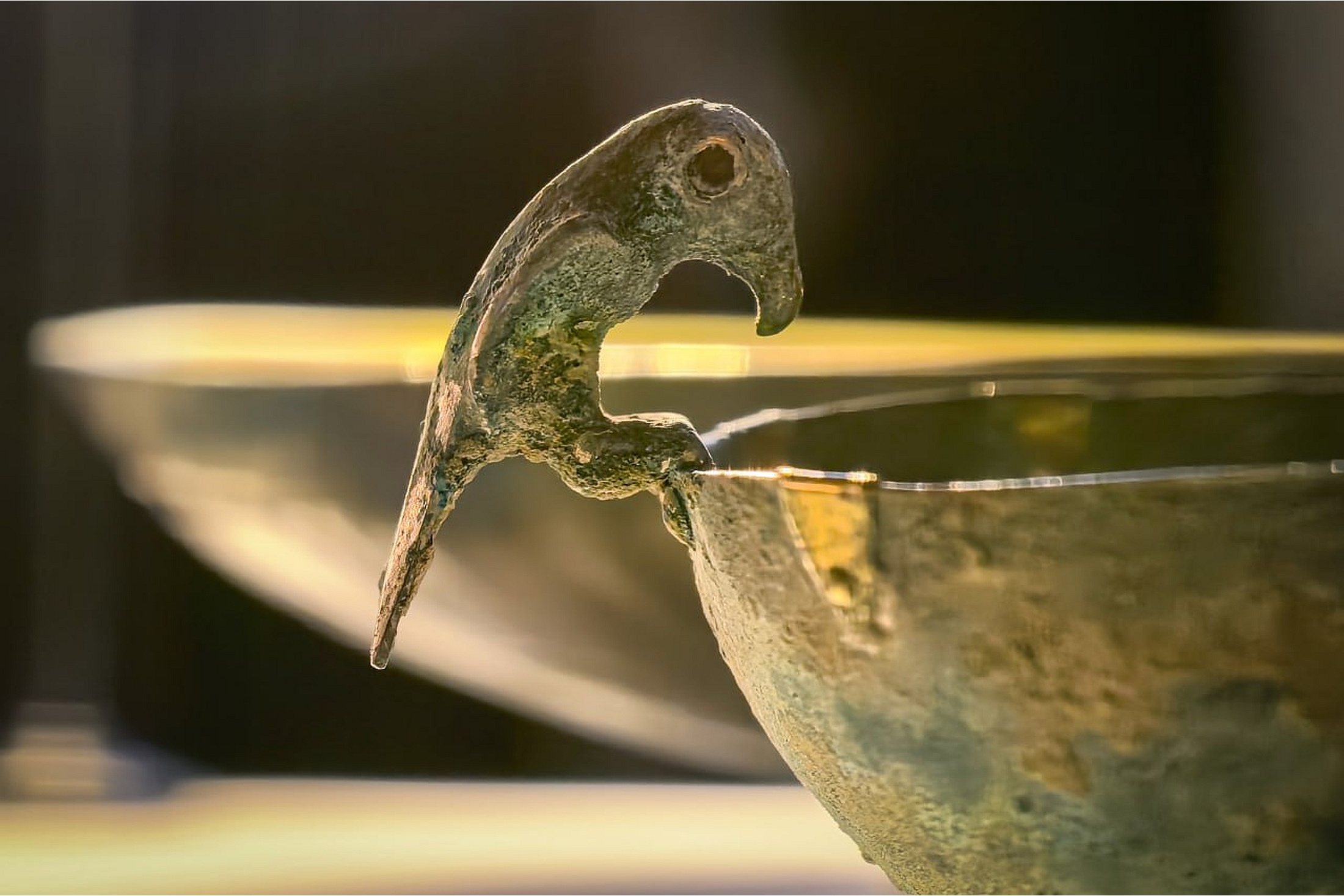 Во время новых археологических исследований некрополя Алхан-Калинского городища ученые обнаружили ценнейшие артефакты.