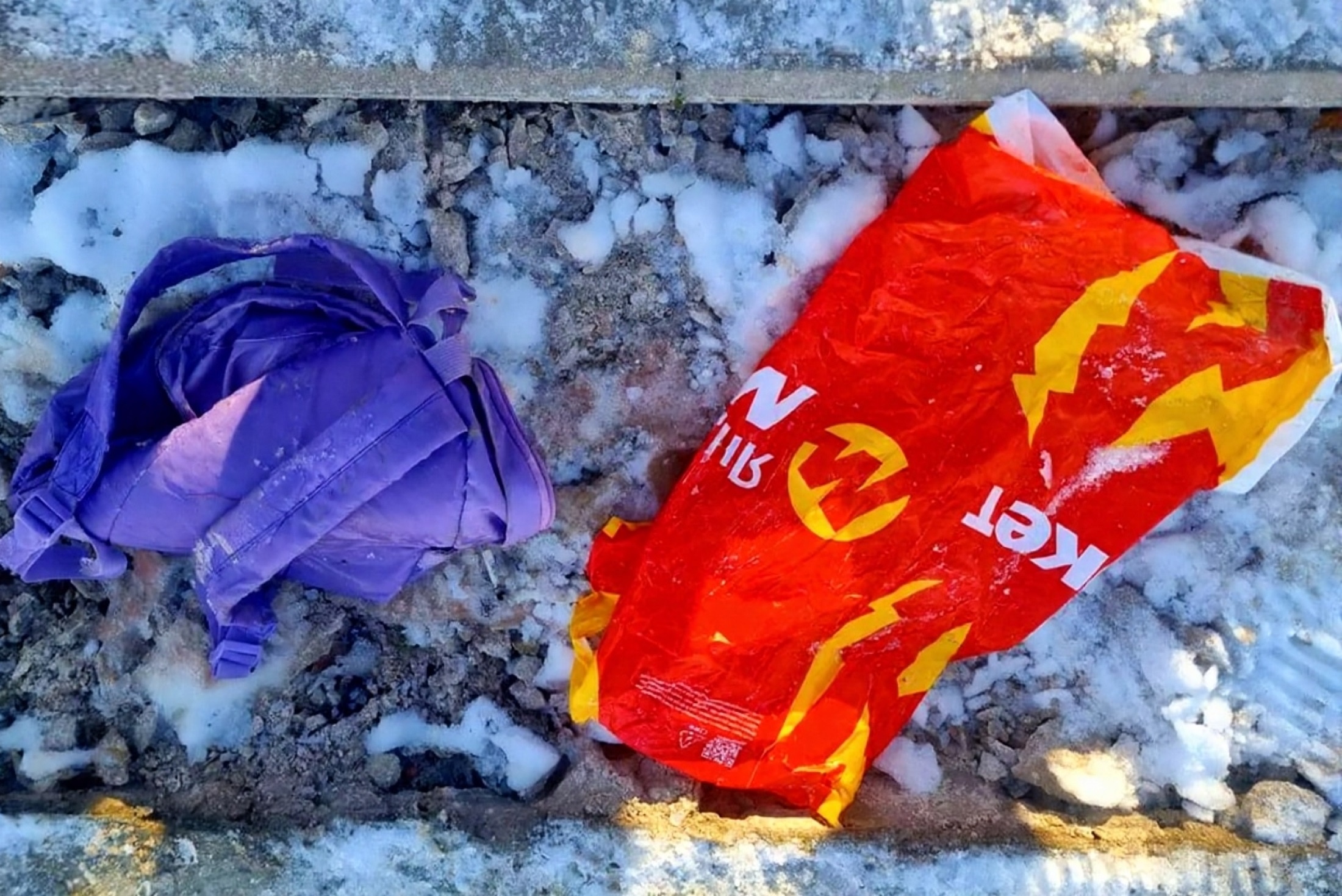 В Гольяновском пруду в Москве найден рюкзак с детской головой