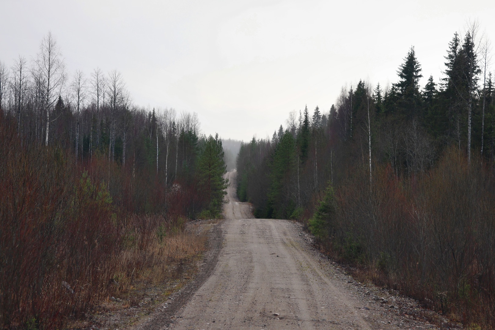 Автор фото Максим Титов