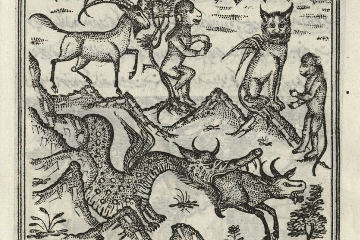 Так средневековый мусульманский ученый аль-Казвини представлял животных.