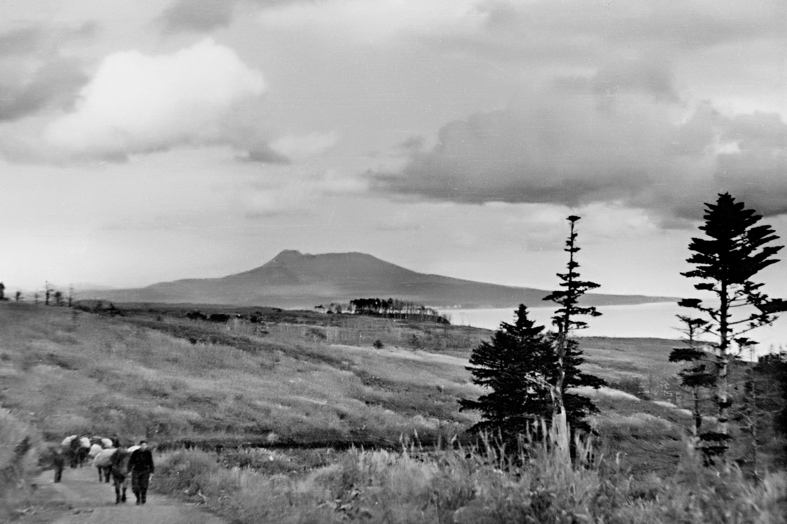 Кунашир. Вулкан Менделеева.