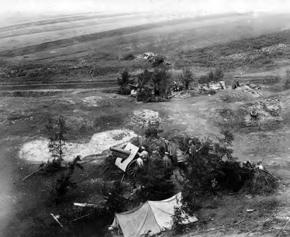 Замаскированные орудия под Тарнополем. 1916 г. РГАФКД.
