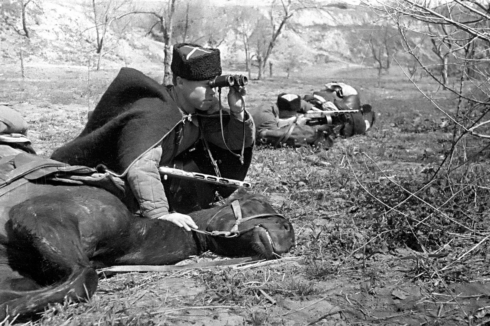 Казачий разъезд в&nbsp;разведке. Освобождение Приднестровья. 1944&nbsp;год.