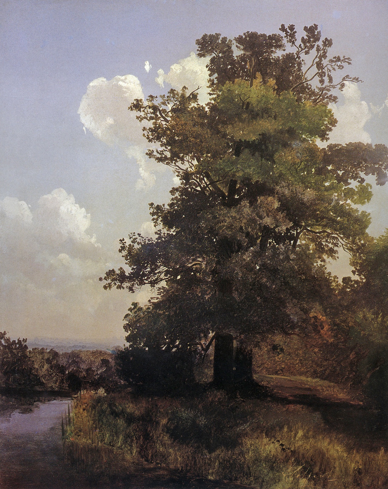 Алексей Саврасов. Дубы. 1855 год. Коллекция Государственного Русского музея.